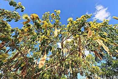 《夏天了！20世纪的暑假》新系统情报 7月28日发售